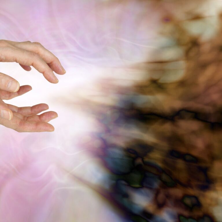 Dégagement des Entités Négatives