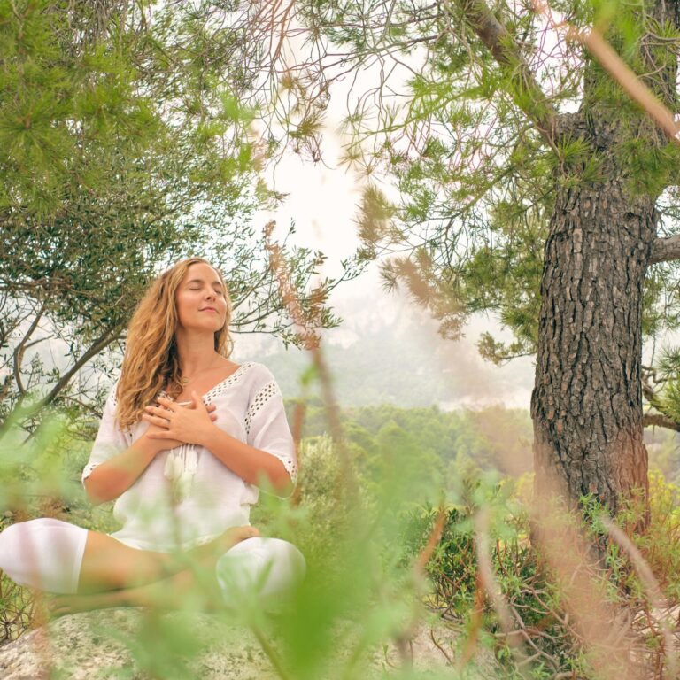 système de guérison chamanique Ama Deus