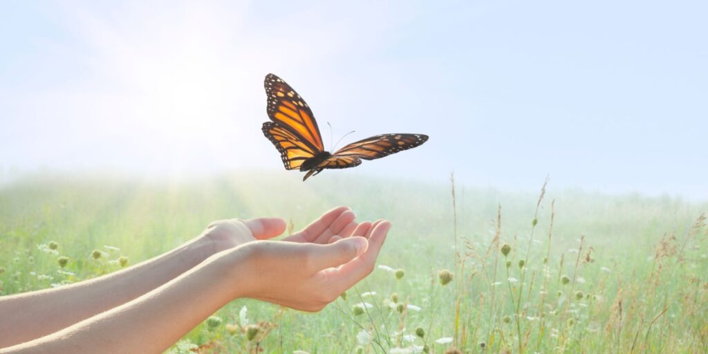 Techniques de libération émotionnelle : outils et pratiques en psycho-énergétique