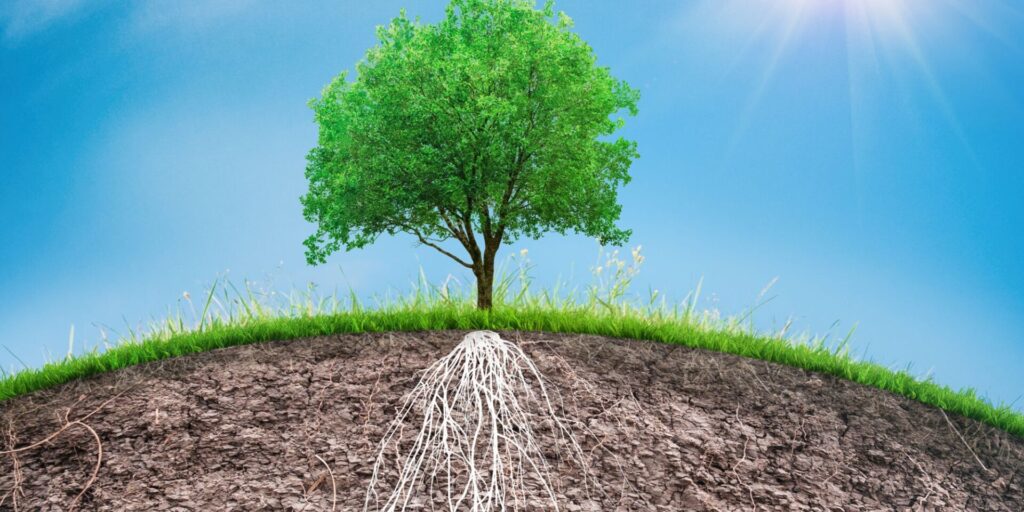 L'importance de l'ancrage énergétique : comment se reconnecter à la terre pour mieux se recentrer